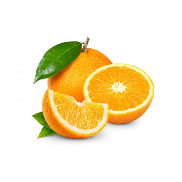 aptent taciti sociosqu