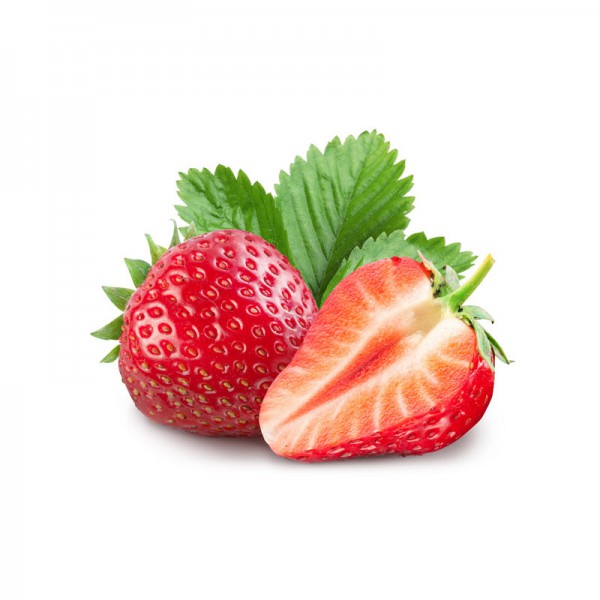 ante sodales bibendum